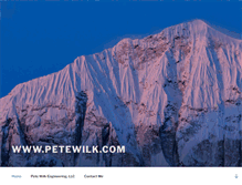 Tablet Screenshot of petewilk.com